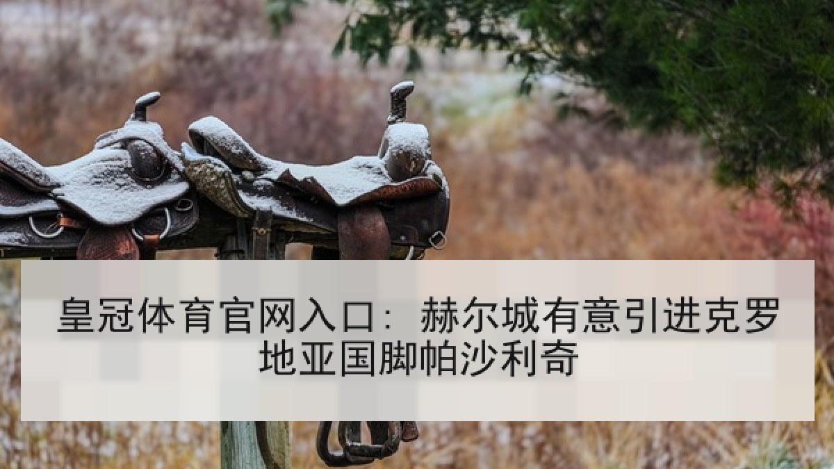 皇冠体育官网入口: 赫尔城有意引进克罗地亚国脚帕沙利奇